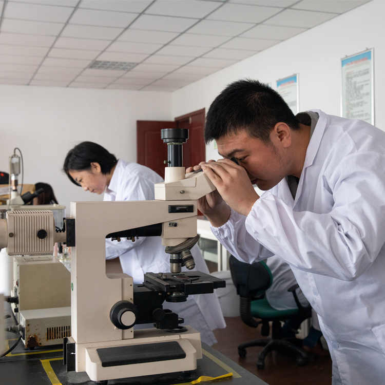 Tackling the Challenge of Rough Aluminum Paste Coatings: A Comprehensive Guide Tackling the Challenge of Rough Aluminum Paste Coatings: A Comprehensive Guide